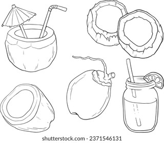 coco dibujado a mano. Ilustración aislada sobre fondo blanco. conjunto de vectores de línea 