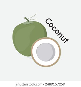 Coconut Hand Drawn Illustration on White Background