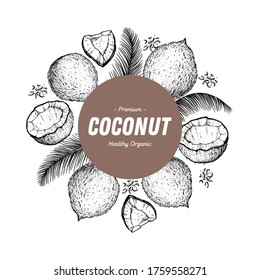 Coconut: Hand drawn coconut nuts. Organic food vector illustration. Label, logo design. Vector design template. Great for packaging design. Hand drawn sketch. Engraved style. Tropical