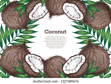 Coconut hand drawn vector illustration. Vintage design. Hand drawn illustration. Coconut and palm leaves. Healthy food 