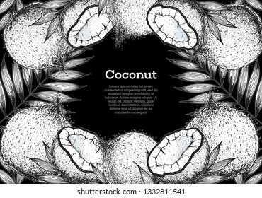 Coconut hand drawn vector illustration. Vintage sketch design. Hand drawn illustration. Coconut and palm leaves. Healthy food