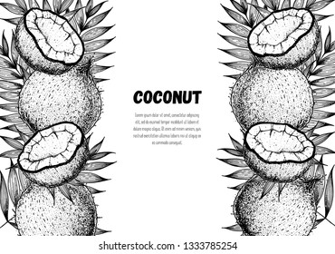 Coconut hand drawn vector illustration. Vintage sketch design. Hand drawn illustration. Coconut and palm leaves. Healthy food
