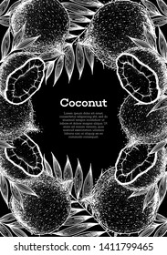 Coconut hand drawn vector illustration. Vintage sketch design. Coconut and palm leaves. Hand drawn illustration.  Healthy food