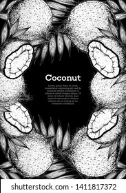 Coconut hand drawn vector illustration. Vintage sketch design. Coconut and palm leaves. Hand drawn illustration.  Healthy food