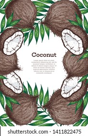 Coconut hand drawn vector illustration. Vintage design. Hand drawn illustration. Coconut and palm leaves. Healthy food. Can used for packaging design.