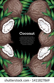 Coconut hand drawn vector illustration. Vintage design. Hand drawn illustration. Coconut and palm leaves. Healthy food. Can used for packaging design.
