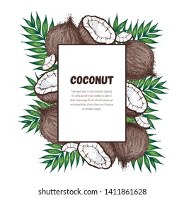 Coconut hand drawn vector illustration. Vintage design. Hand drawn illustration. Coconut and palm leaves. Healthy food. Can used for packaging design.  Can used for packaging design