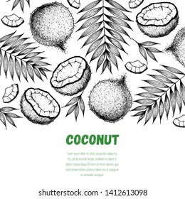 Coconut hand drawn vector illustration. Vintage design. Hand drawn illustration. Coconut and palm leaves. Healthy food. Can used for packaging design. 