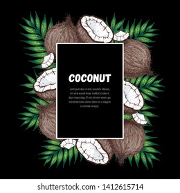 Coconut hand drawn vector illustration. Vintage design. Hand drawn illustration. Coconut and palm leaves. Healthy food. Can used for packaging design.  Can used for packaging design
