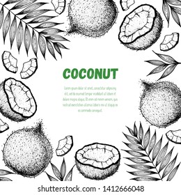 Coconut hand drawn vector illustration. Vintage design. Hand drawn illustration. Coconut and palm leaves. Healthy food. Can used for packaging design. 