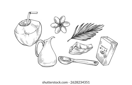 coconut handdrawn engraving doodle collection