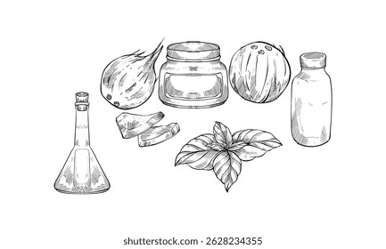 coconut handdrawn engraving doodle collection