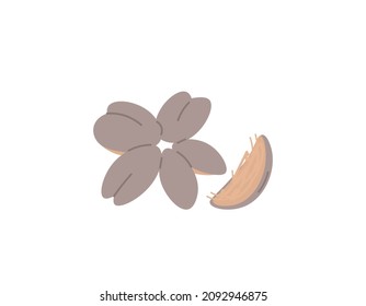 coconut husk illustration. coconut skin. fruit. vector design. element, ui, icon, sticker