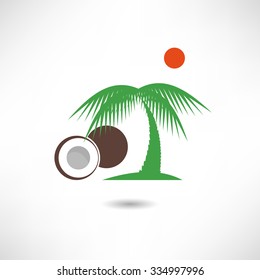 Coconut icon