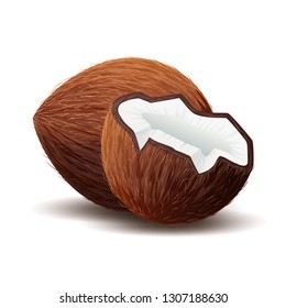 Coconut icon, broken coconut isolated on white background, vector illustration