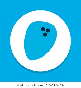 Coconut icon colored symbol. Premium quality isolated palm fruit element in trendy style.