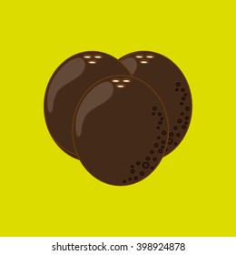 Coconut icon design, vector illustration