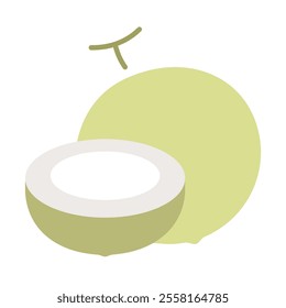 Coconut icon elements Fruit isolate illustration vector