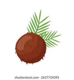 Coconut icon in flat style. Healthy food vector illustration on isolated background. Coco plant sign business concept.