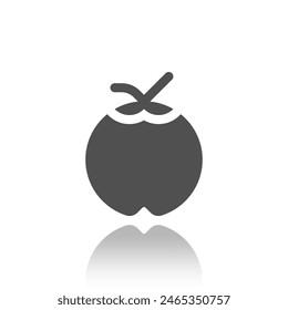 Coconut Icon, Fruit, Vector Illustration