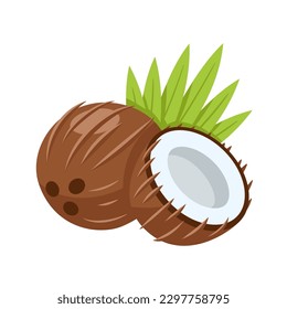 Coconut icon isolated on white background. Cartoon style. Vector illustration