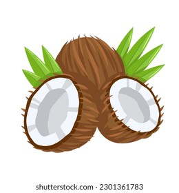 Coconut icon isolated on white background. Cartoon style. Vector illustration