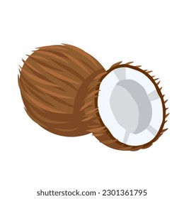 Coconut icon isolated on white background. Cartoon style. Vector illustration