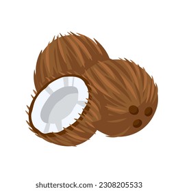 Coconut icon isolated on white background. Cartoon style. Vector illustration