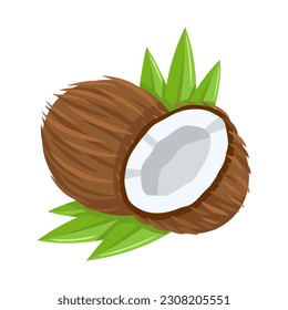 Coconut icon isolated on white background. Cartoon style. Vector illustration