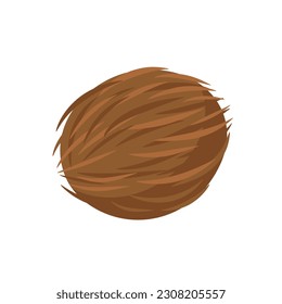 Icono de coco aislado en fondo blanco. Estilo de caricatura. Ilustración del vector
