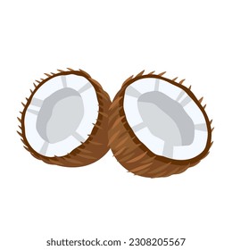 Icono de coco aislado en fondo blanco. Estilo de caricatura. Ilustración del vector