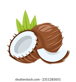 Coconut icon isolated on white background. Cartoon style. Vector illustration