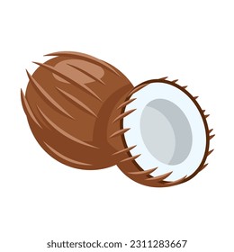Icono de coco aislado en fondo blanco. Estilo de caricatura. Ilustración del vector