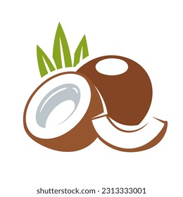 Coconut icon isolated on white background. Cartoon style. Vector illustration