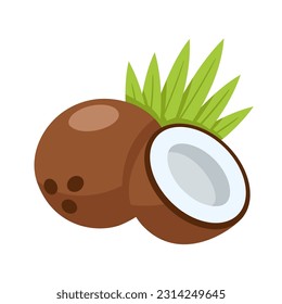 Coconut icon isolated on white background. Cartoon style. Vector illustration