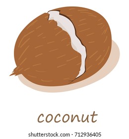 Coconut icon. Isometric illustration of coconut vector icon for web