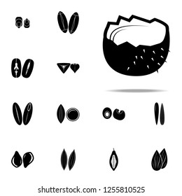coconut icon. nuts icons universal set for web and mobile