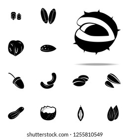 coconut icon. nuts icons universal set for web and mobile