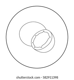 Coconut icon outline. Singe fruit icon.