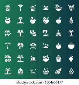 coconut icon set. Collection of 36 filled coconut icons included Palm, Papaya, Sandesh, Beach, Fruit, Palm tree, Guava, Sand bucket, Coconut drink, Island, Nuts, Thailand, Mangosteen