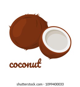 Coconut icon. Vector illustration