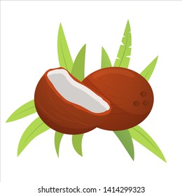 Coconut icon whole and broken nut with palm frond leaves .Fresh ripe pulp.Tropical concept for posters and banners. Flat illustration vector.Isolated on a white background.