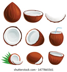 Coconut icons set. Cartoon set of coconut vector icons for web design