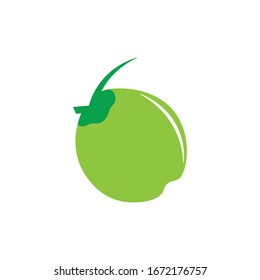 coconut illustration logo vector design