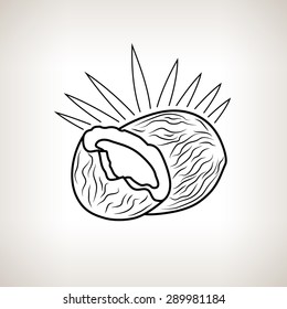 Coconut, Image Coco on a Light Background, Line Style, Black and White Vector Illustration