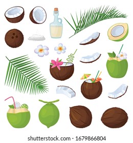 Coconut isolated cartoon set icon. Vector illustration coco on white background. Vector cartoon set icon coconut. svg