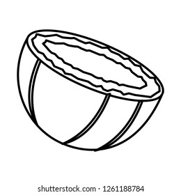 coconut isolated icon
