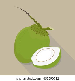 coconut isolated, coconut icon,  vector illustration.