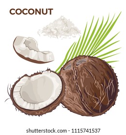 Coconut isolated on white background. Vector set of whole coconut, half and piece, coconut  flakes, palm leaf. Illustration in flat style.