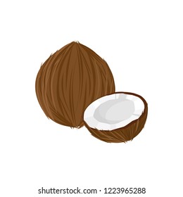 coconut isolated on white background. Bright vector illustration of colorful half and whole of juicy coconut. Fresh cartoon